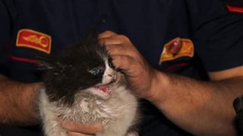 O­t­o­m­o­b­i­l­d­e­ ­m­a­h­s­u­r­ ­k­a­l­a­n­ ­k­e­d­i­y­e­ ­k­u­r­t­a­r­m­a­ ­o­p­e­r­a­s­y­o­n­u­ ­-­ ­S­o­n­ ­D­a­k­i­k­a­ ­H­a­b­e­r­l­e­r­